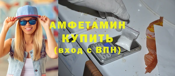 винт Лагань