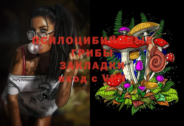 винт Лагань