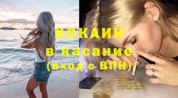 прущие грибы Арсеньев